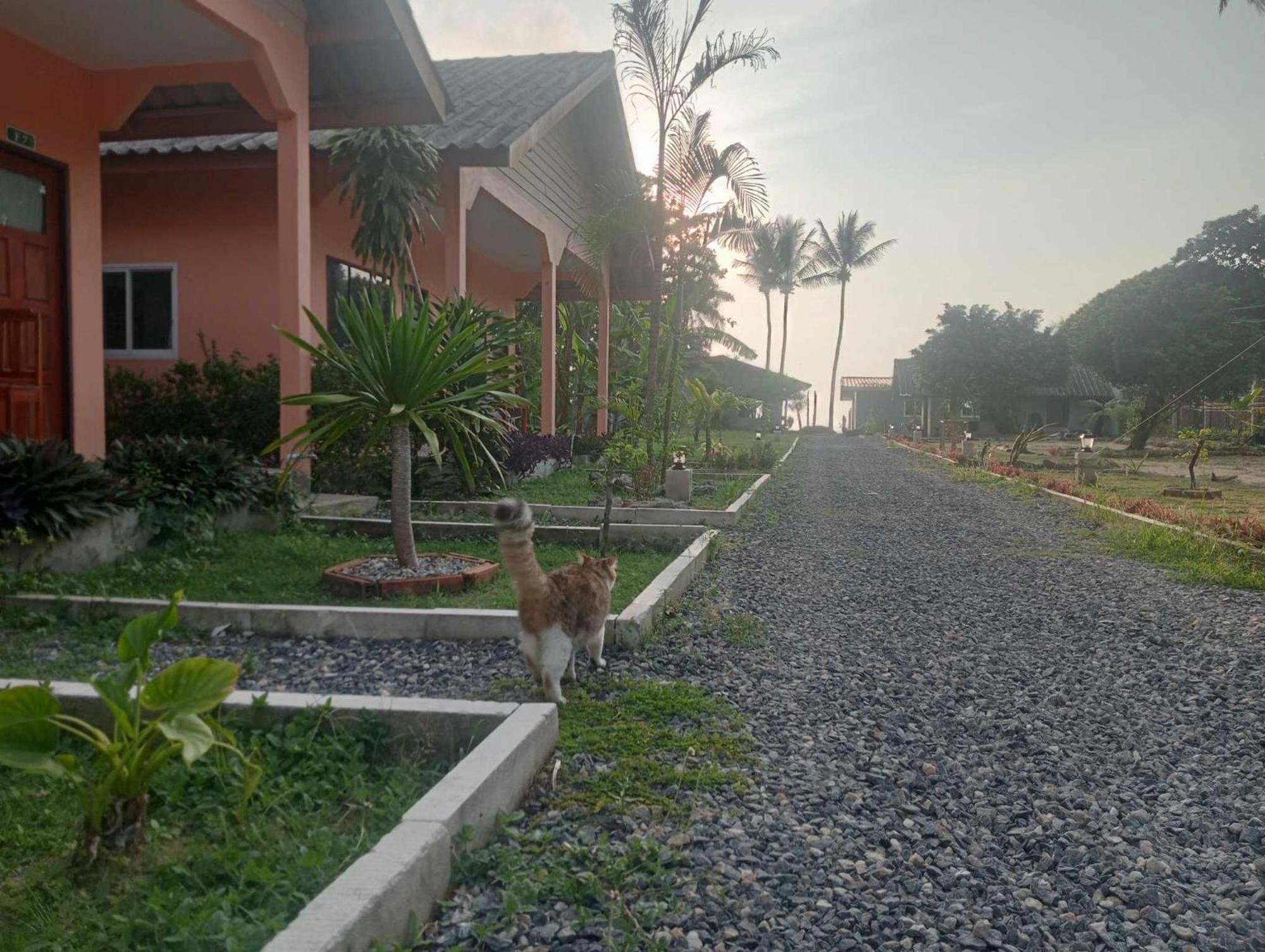 Scandinavian Beach Resort Ko Lanta Kültér fotó
